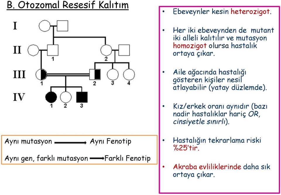 Aile ağacında hastalığı gösteren kişiler nesil atlayabilir (yatay düzlemde).