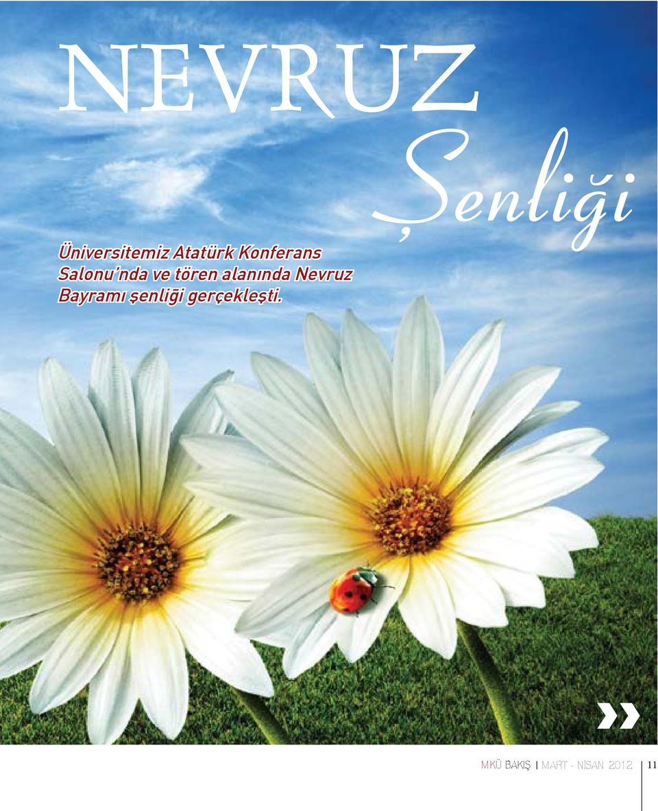 alanında Nevruz Bayramı şenliği