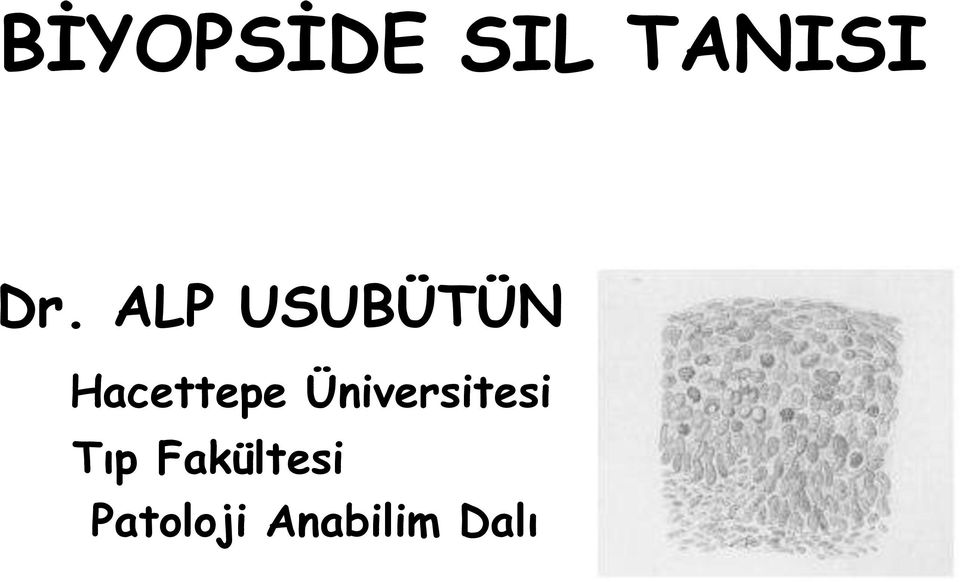 Üniversitesi Tıp