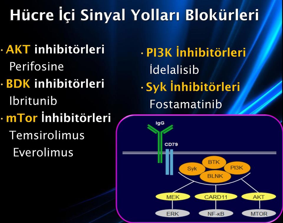 Ibritunib mtor İnhibitörleri Temsirolimus