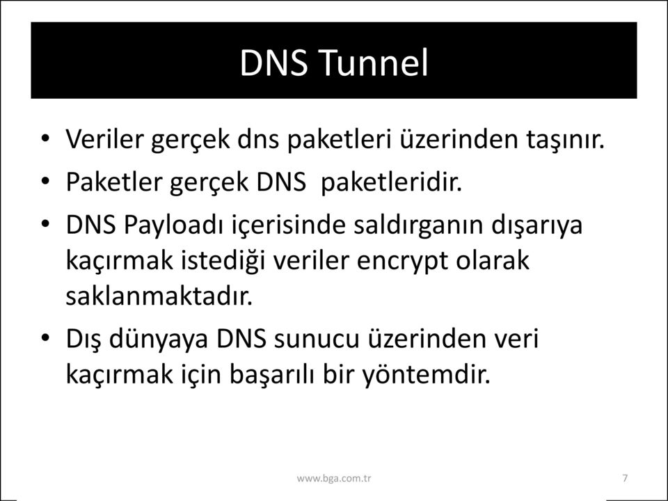 DNS Payloadı içerisinde saldırganın dışarıya kaçırmak istediği veriler