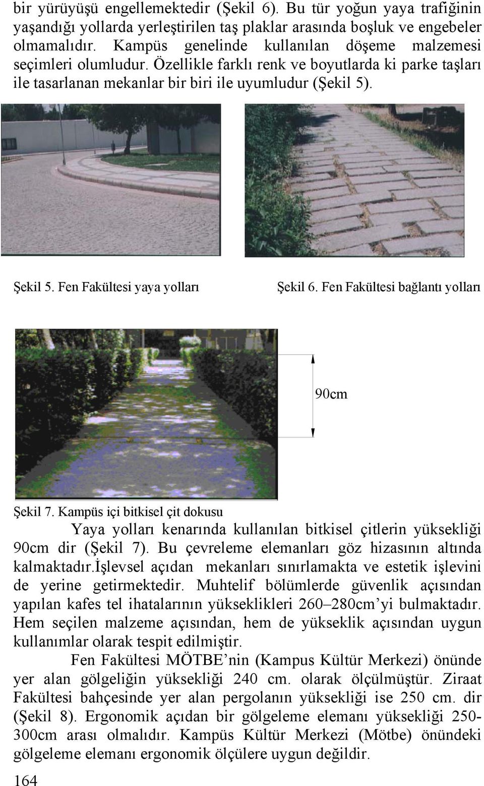 Fen Fakültesi yaya yolları Şekil 6. Fen Fakültesi bağlantı yolları 90cm Şekil 7. Kampüs içi bitkisel çit dokusu Yaya yolları kenarında kullanılan bitkisel çitlerin yüksekliği 90cm dir (Şekil 7).