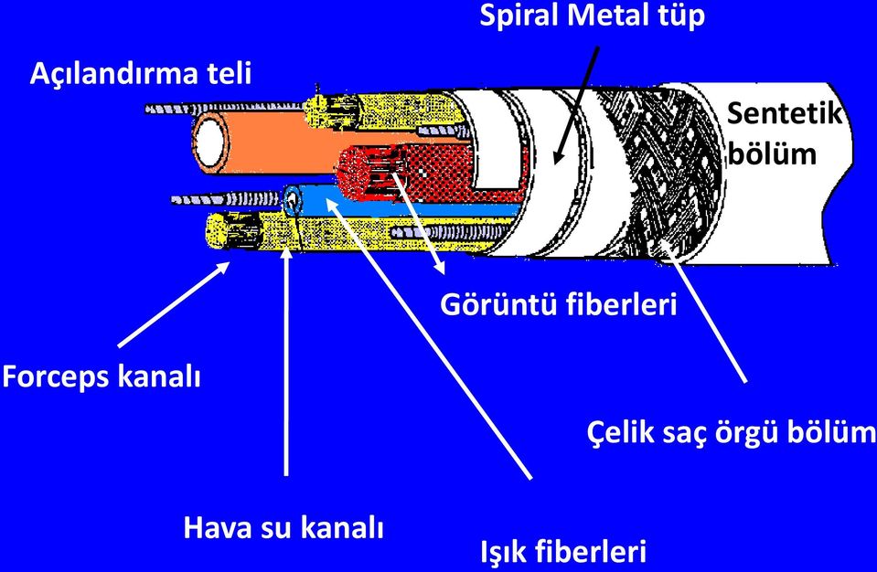 fiberleri Forceps kanalı Çelik