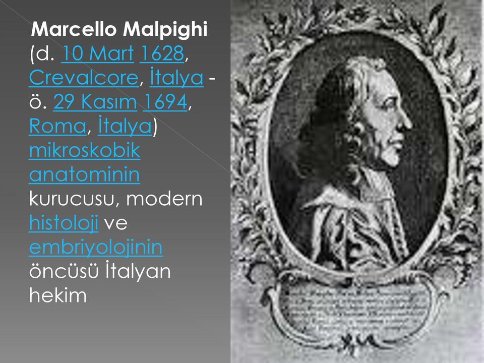 29 Kasım 1694, Roma, İtalya) mikroskobik