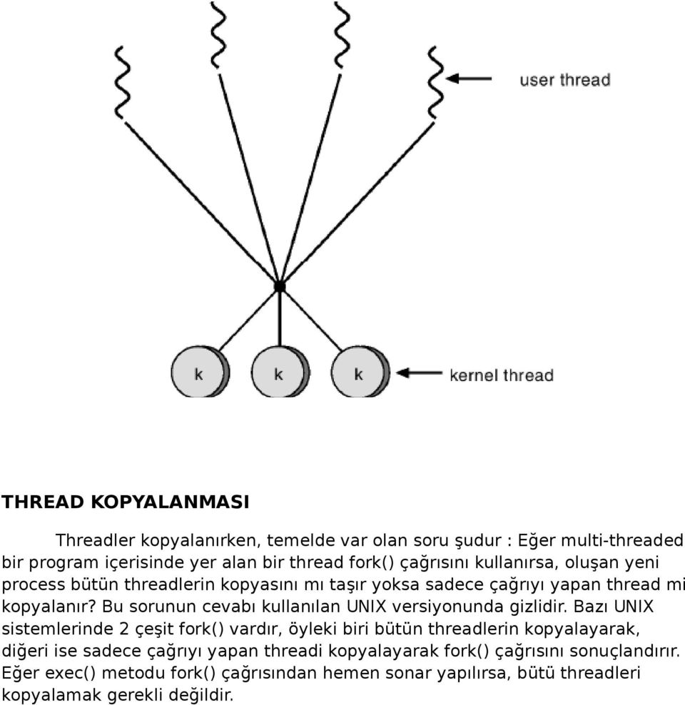 Bu sorunun cevabı kullanılan UNIX versiyonunda gizlidir.