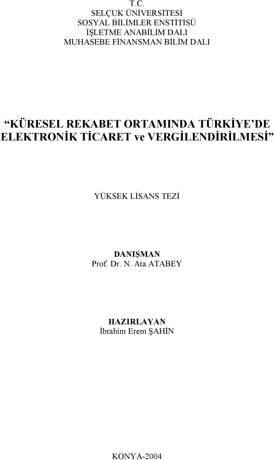 TÜRKİYE DE ELEKTRONİK TİCARET ve VERGİLENDİRİLMESİ YÜKSEK LİSANS