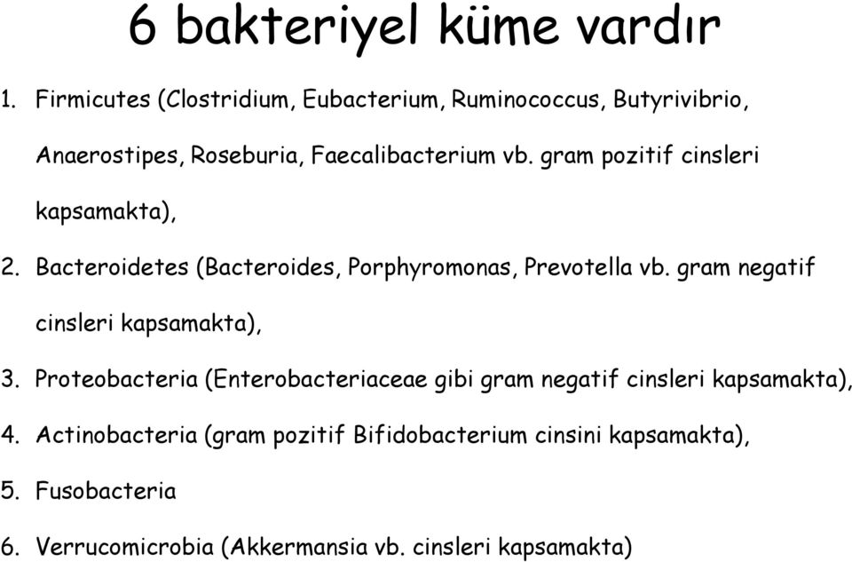 gram pozitif cinsleri kapsamakta), 2. Bacteroidetes (Bacteroides, Porphyromonas, Prevotella vb.