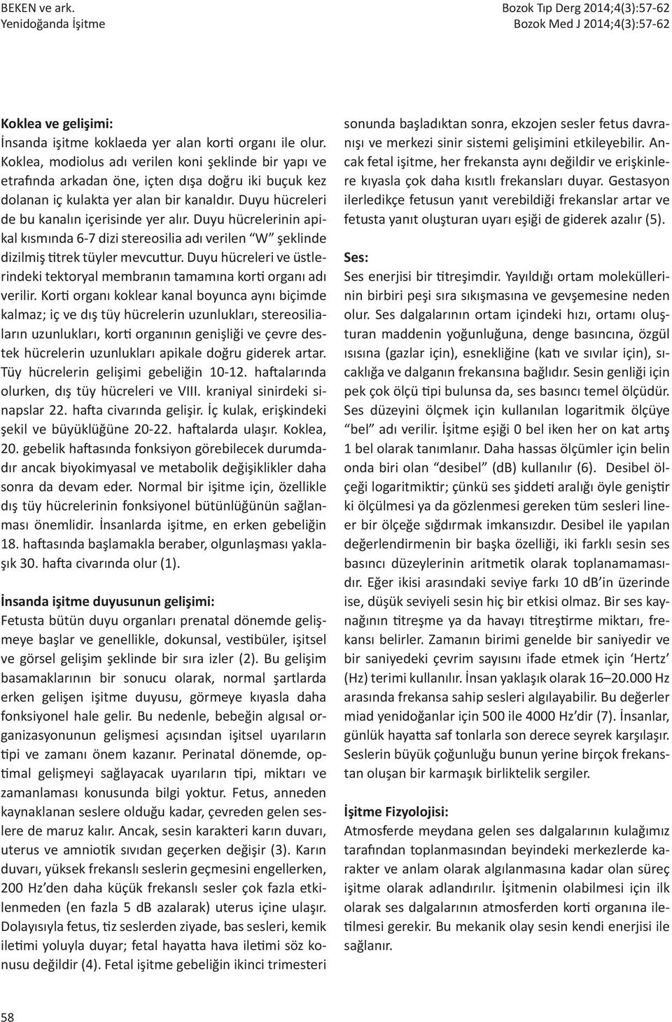 Duyu hücrelerinin apikal kısmında 6-7 dizi stereosilia adı verilen W şeklinde dizilmiş titrek tüyler mevcuttur. Duyu hücreleri ve üstlerindeki tektoryal membranın tamamına korti organı adı verilir.