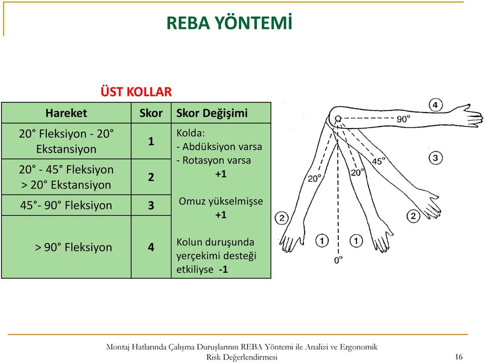 1 2 Kolda: - Abdüksiyon varsa - Rotasyon varsa +1 Omuz yükselmişse