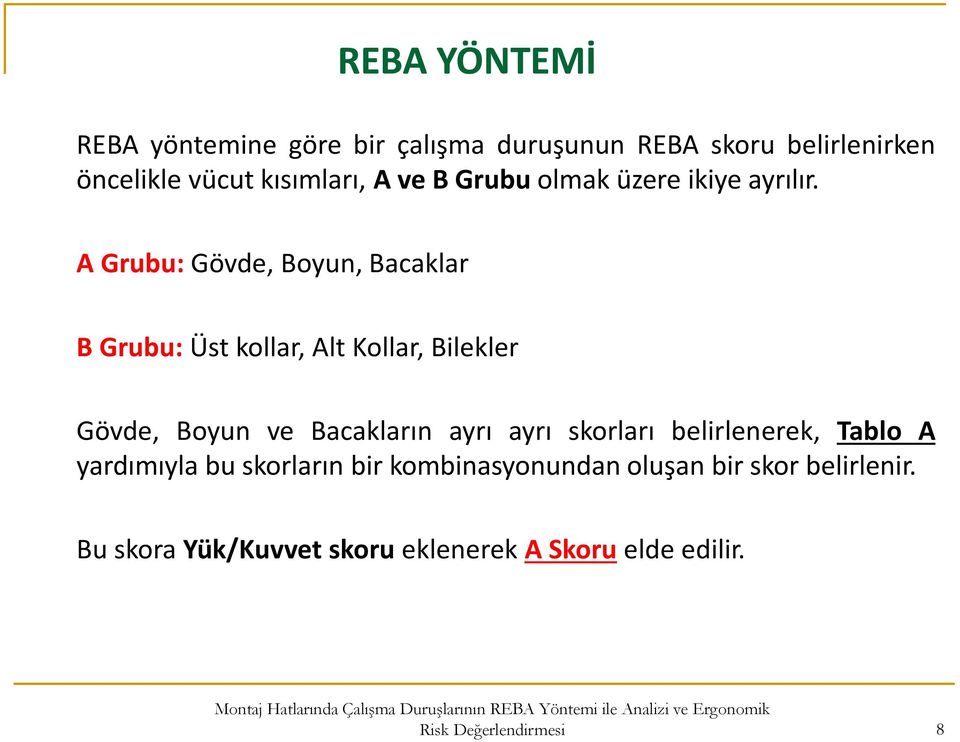 A Grubu: Gövde, Boyun, Bacaklar B Grubu: Üst kollar, Alt Kollar, Bilekler Gövde, Boyun ve Bacakların