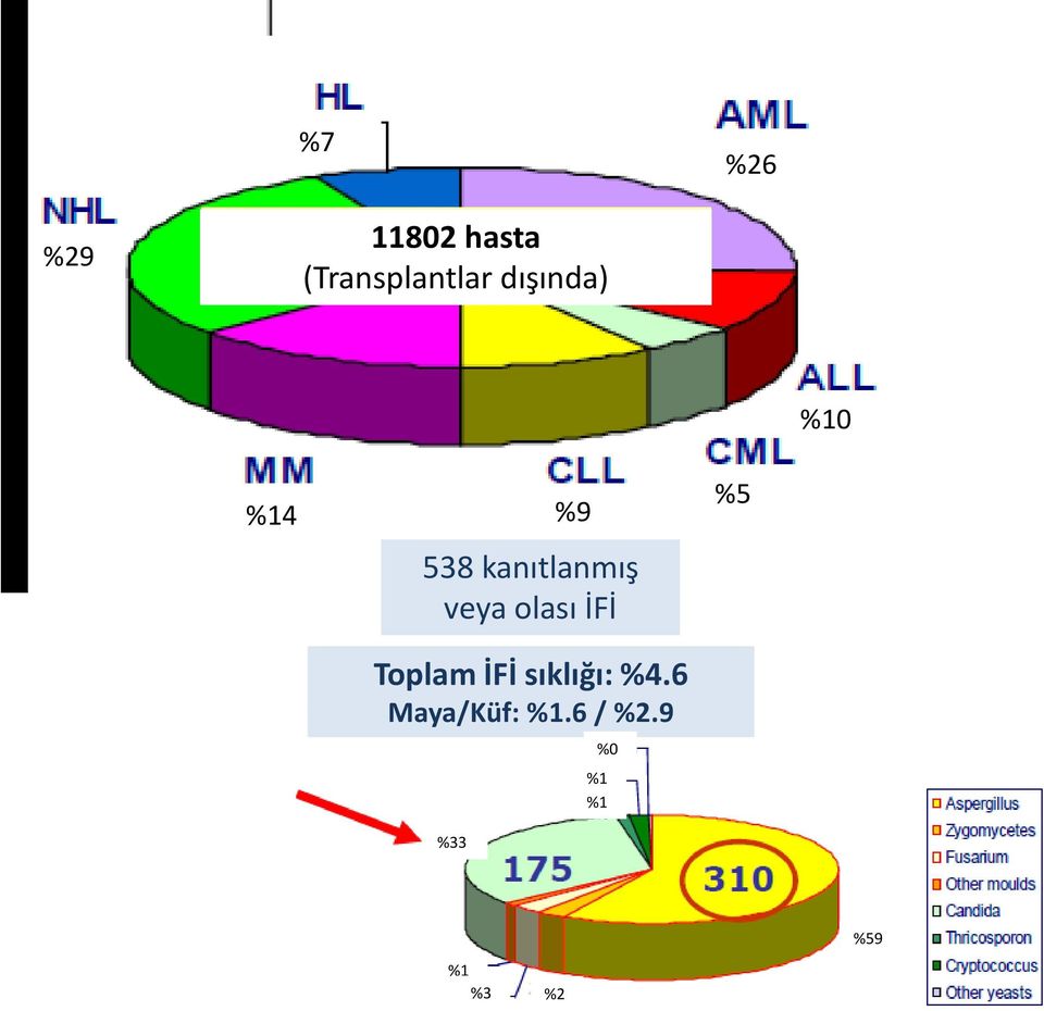 olası İFİ Toplam İFİ sıklığı: %4.