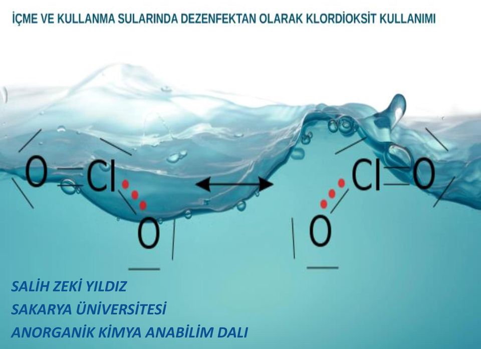 ÜNİVERSİTESİ