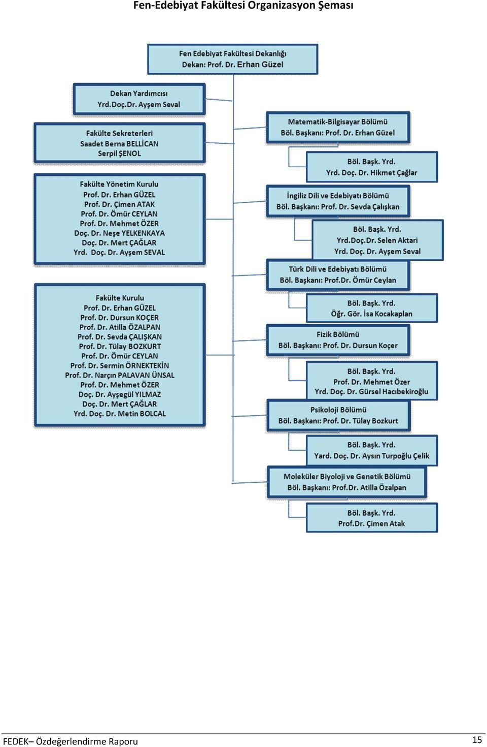 Organizasyon Şeması