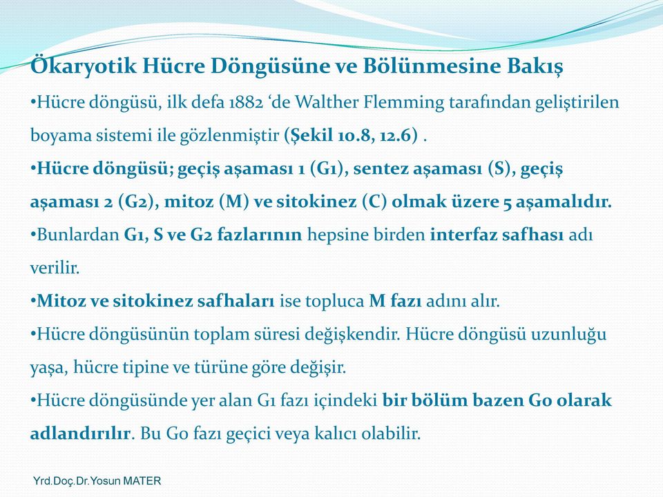 Bunlardan G1, S ve G2 fazlarının hepsine birden interfaz safhası adı verilir. Mitoz ve sitokinez safhaları ise topluca M fazı adını alır.