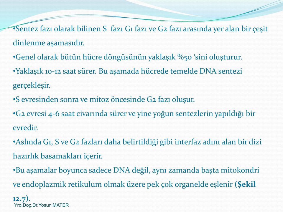 S evresinden sonra ve mitoz öncesinde G2 fazı oluşur. G2 evresi 4-6 saat civarında sürer ve yine yoğun sentezlerin yapıldığı bir evredir.