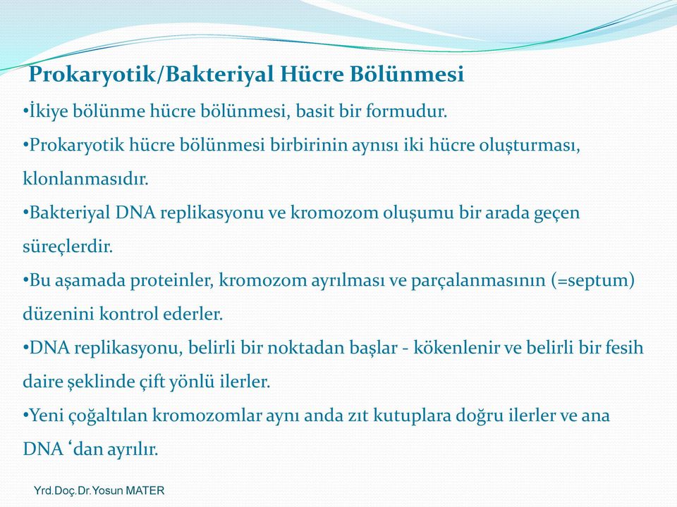 Bakteriyal DNA replikasyonu ve kromozom oluşumu bir arada geçen süreçlerdir.