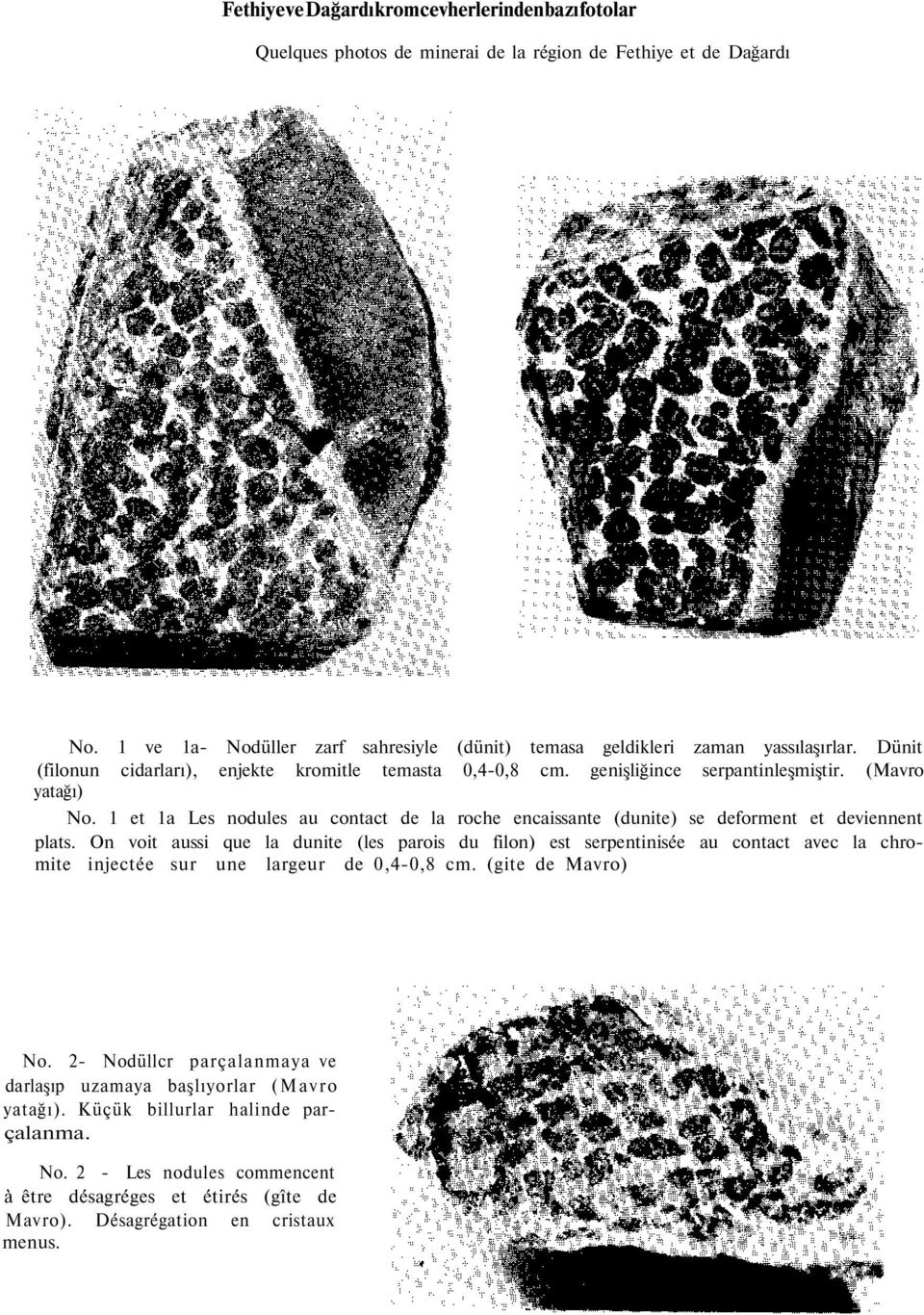 1 et 1a Les nodules au contact de la roche encaissante (dunite) se deforment et deviennent plats.