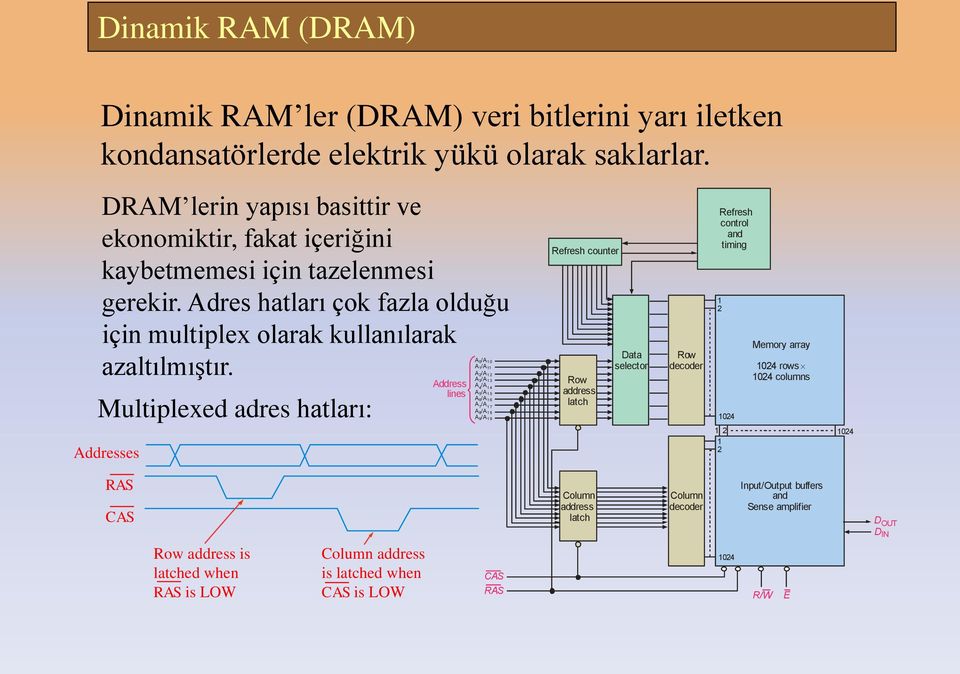 0/A 10 A1/A11 Multiplexed adres hatları: Addresses Address lines A2/A12 A3/A13 A 4 /A 14 A5/A15 A6/A16 A 7 /A 17 A8/A18 A9/A19 Refresh counter Row address latch Data selector Row decoder