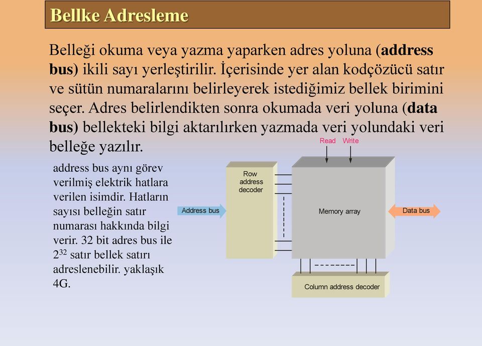 Adres belirlendikten sonra okumada veri yoluna (data bus) bellekteki bilgi aktarılırken yazmada veri yolundaki veri Read Write belleğe yazılır.