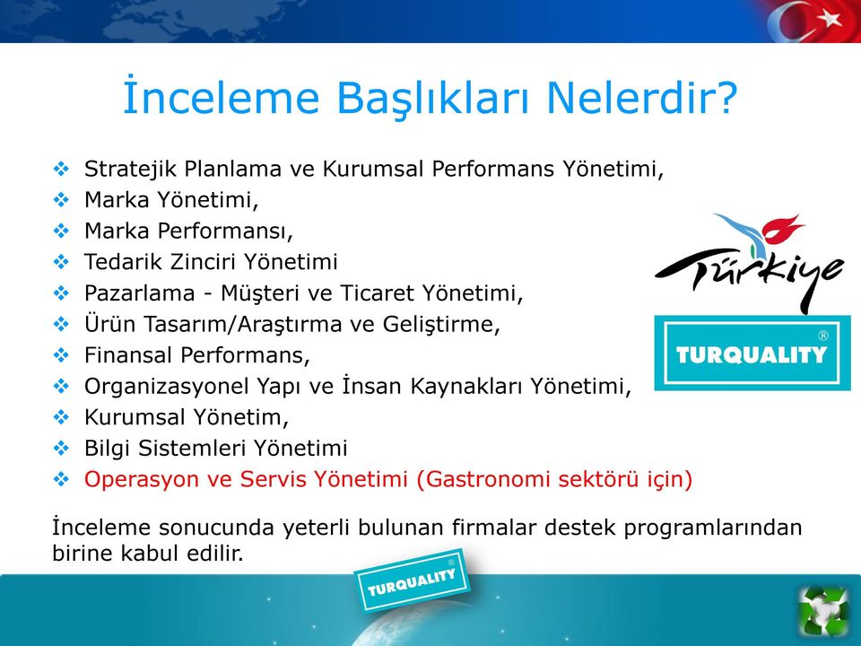 Pazarlama - Müşteri ve Ticaret Yönetimi, Ürün Tasarım/Araştırma ve Geliştirme, Finansal Performans, Organizasyonel Yapı