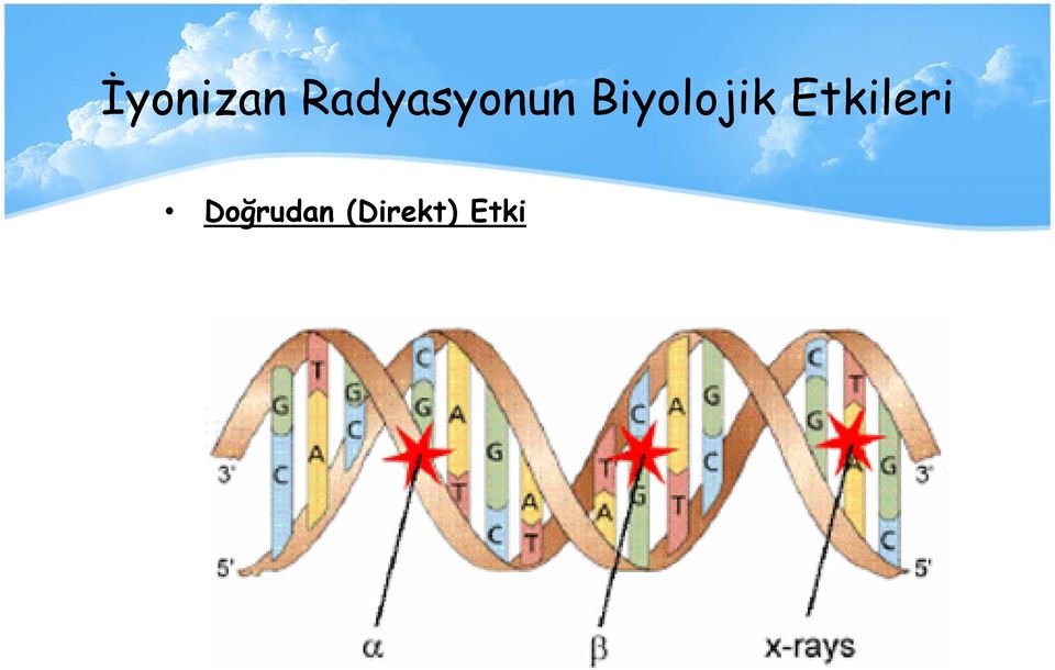 Biyolojik