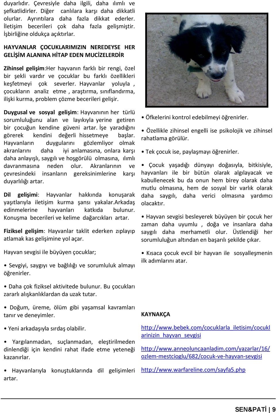 HAYVANLAR ÇOCUKLARIMIZIN NEREDEYSE HER GELİŞİM ALANINA HİTAP EDEN MUCİZELERDİR Zihinsel gelişim:her hayvanın farklı bir rengi, özel bir şekli vardır ve çocuklar bu farklı özellikleri keşfetmeyi çok