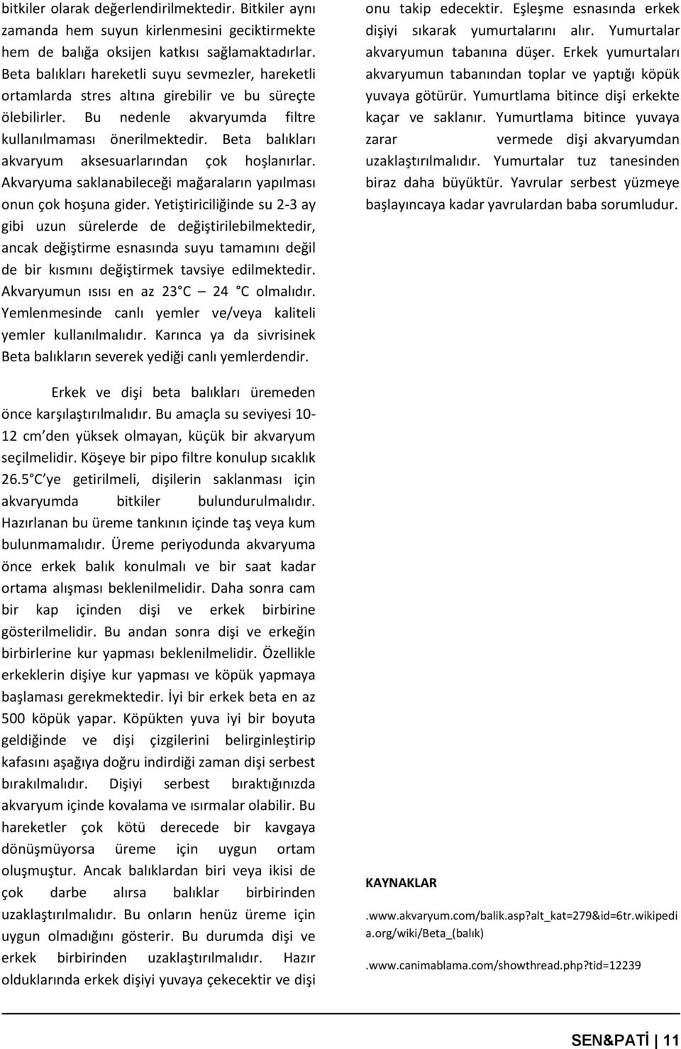 Beta balıkları akvaryum aksesuarlarından çok hoşlanırlar. Akvaryuma saklanabileceği mağaraların yapılması onun çok hoşuna gider.