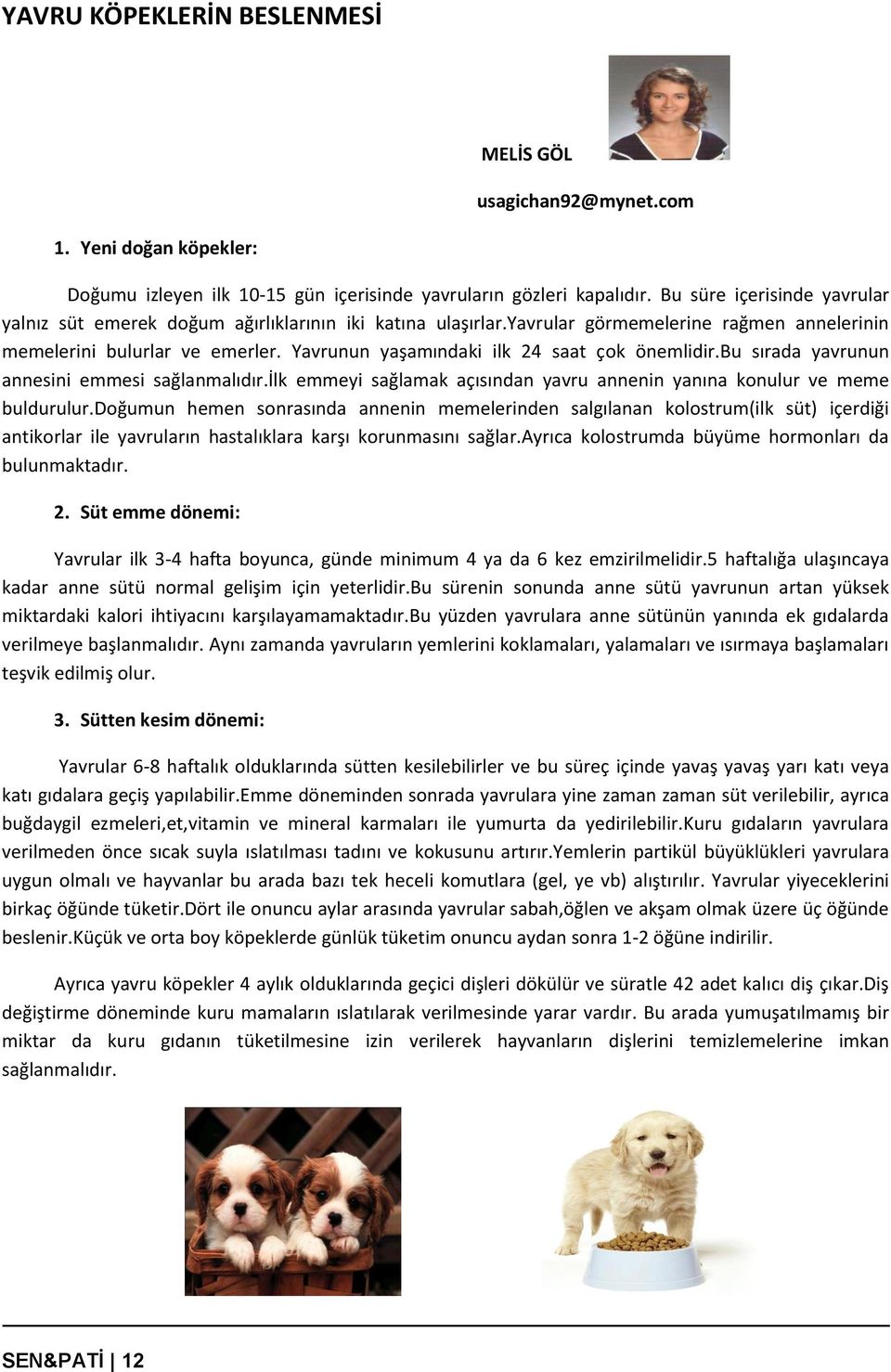 Yavrunun yaşamındaki ilk 24 saat çok önemlidir.bu sırada yavrunun annesini emmesi sağlanmalıdır.ilk emmeyi sağlamak açısından yavru annenin yanına konulur ve meme buldurulur.