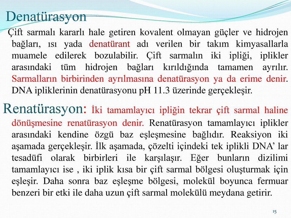 DNA ipliklerinin denatürasyonu ph 11.3 üzerinde gerçekleşir. Renatürasyon: İki tamamlayıcı ipliğin tekrar çift sarmal haline dönüşmesine renatürasyon denir.