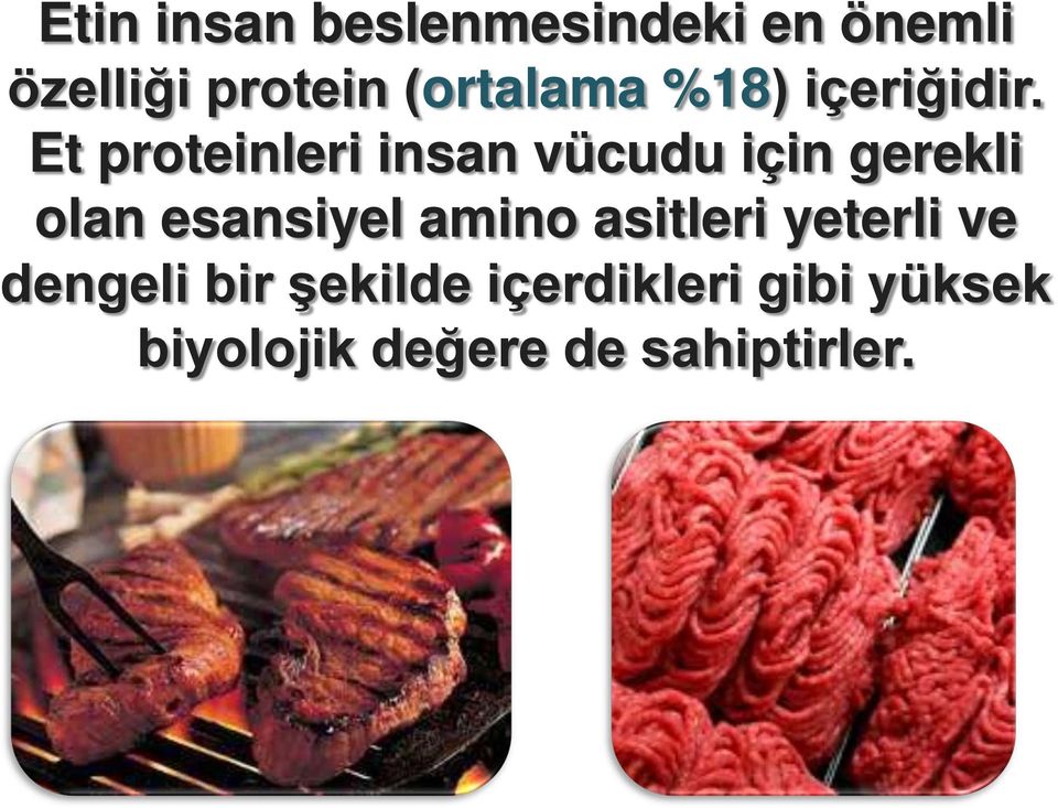 Et proteinleri insan vücudu için gerekli olan esansiyel