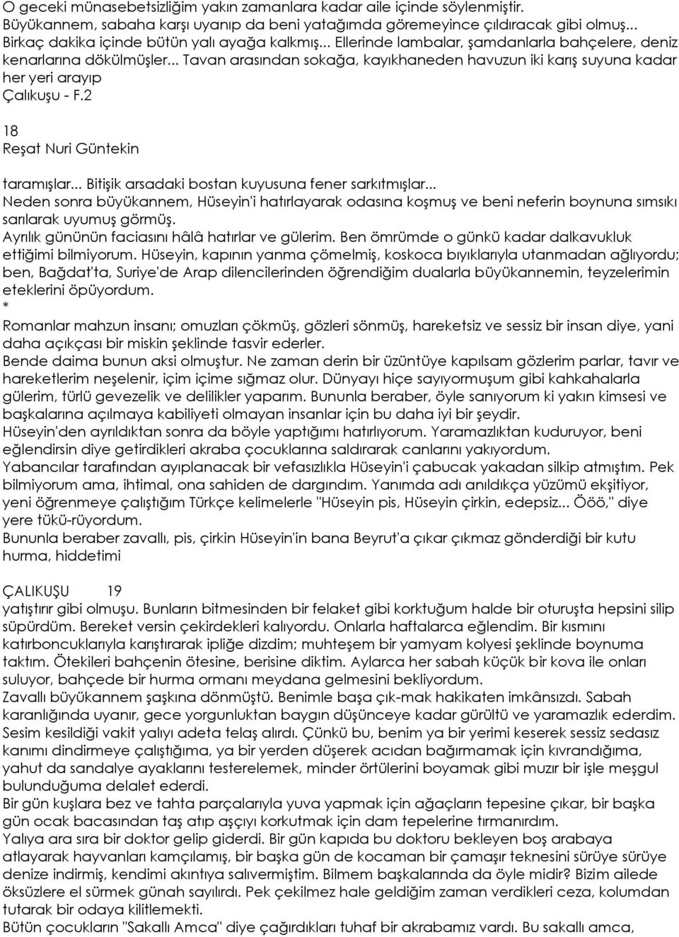 .. Tavan arasından sokağa, kayıkhaneden havuzun iki karış suyuna kadar her yeri arayıp Çalıkuşu - F.2 18 taramışlar... Bitişik arsadaki bostan kuyusuna fener sarkıtmışlar.