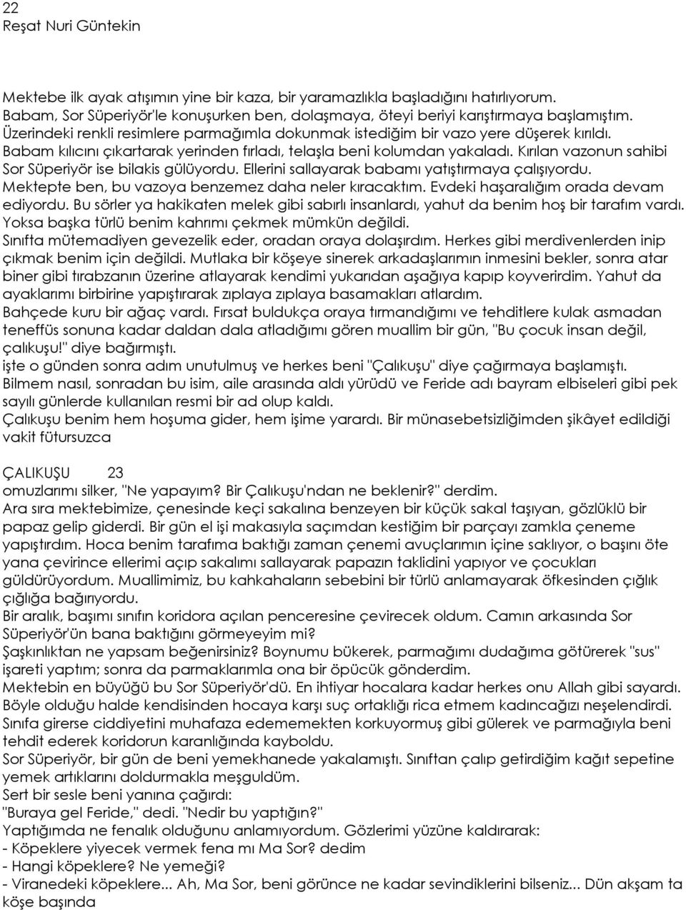 Kırılan vazonun sahibi Sor Süperiyör ise bilakis gülüyordu. Ellerini sallayarak babamı yatıştırmaya çalışıyordu. Mektepte ben, bu vazoya benzemez daha neler kıracaktım.