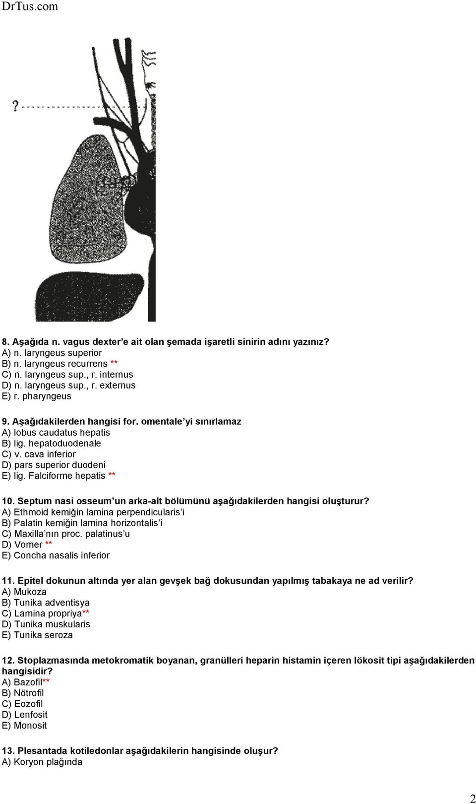 Septum nasi osseum un arka-alt bölümünü aşağıdakilerden hangisi oluşturur? A) Ethmoid kemiğin lamina perpendicularis i B) Palatin kemiğin lamina horizontalis i C) Maxilla nın proc.