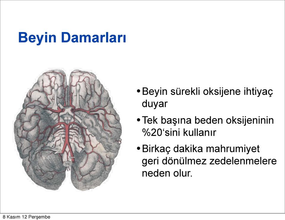 oksijeninin %20 sini kullanır Birkaç