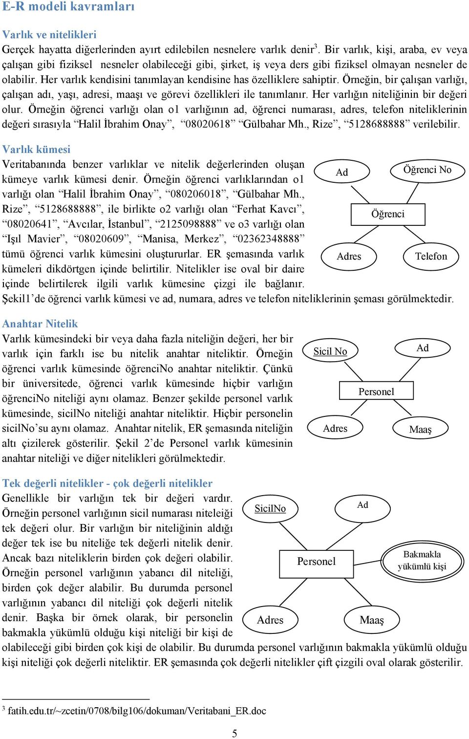 Her varlık kendisini tanımlayan kendisine has özelliklere sahiptir. Örneğin, bir çalışan varlığı, çalışan adı, yaşı, adresi, maaşı ve görevi özellikleri ile tanımlanır.