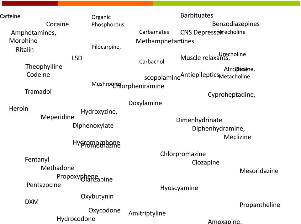 Amoxapine, Organic Phosphorous Carbamates Arecholine Pilocarpine, Urecholine Carbachol Choline, Metacholine Mushrooms Morphine Codeine Tramadol Heroin