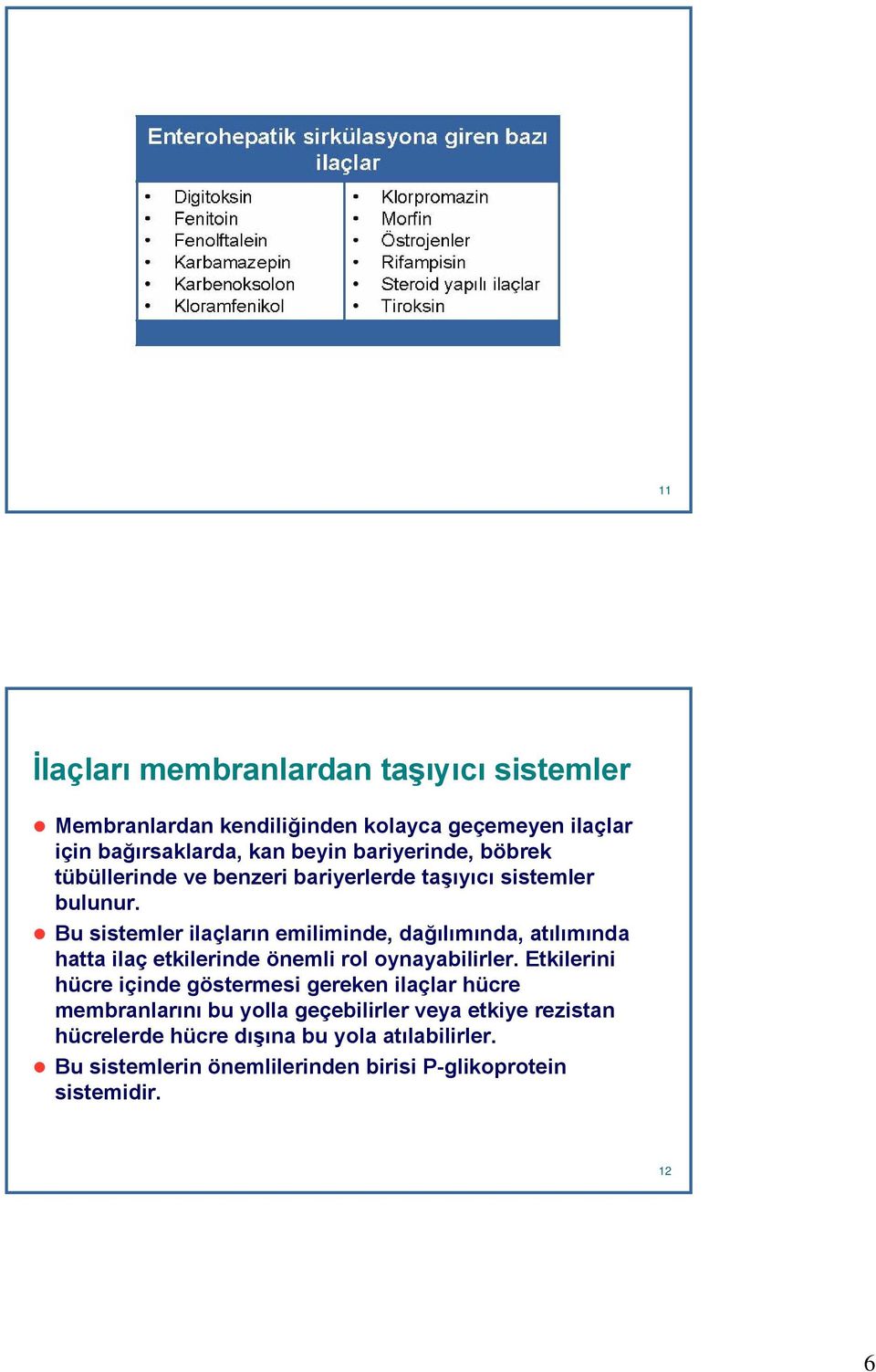 Bu sistemler ilaçların emiliminde, dağılımında, atılımında hatta ilaç etkilerinde önemli rol oynayabilirler.