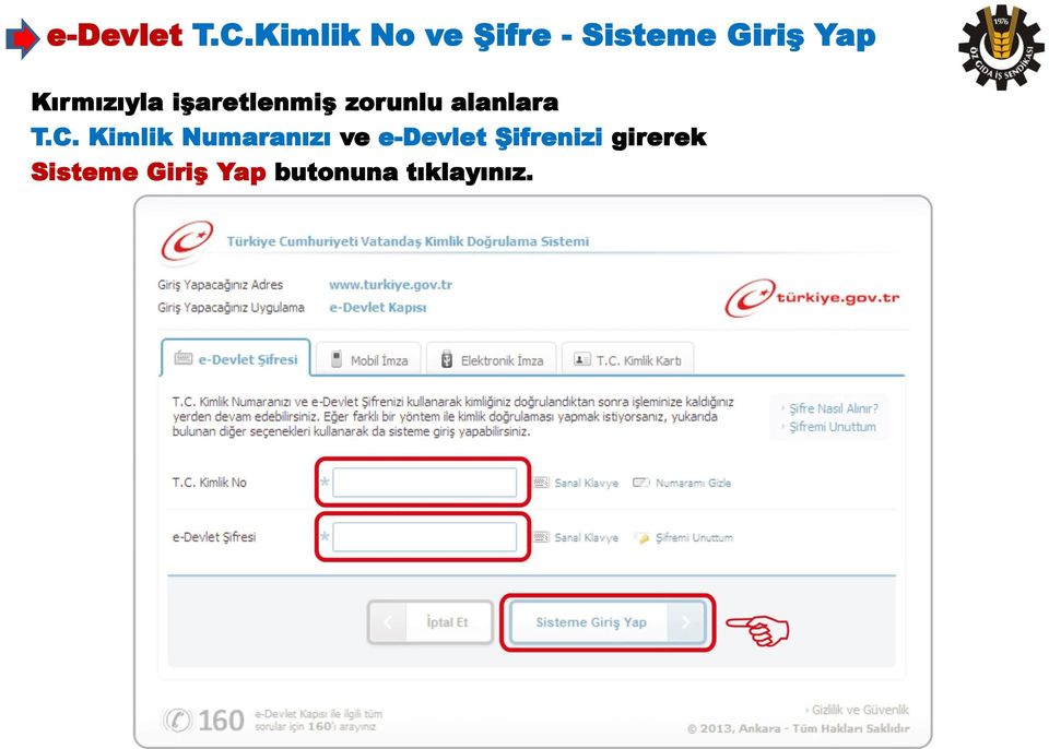 Kırmızıyla işaretlenmiş zorunlu alanlara T.C.