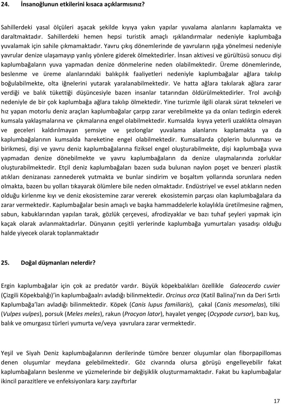 Yavru çıkış dönemlerinde de yavruların ışığa yönelmesi nedeniyle yavrular denize ulaşamayıp yanlış yönlere giderek ölmektedirler.