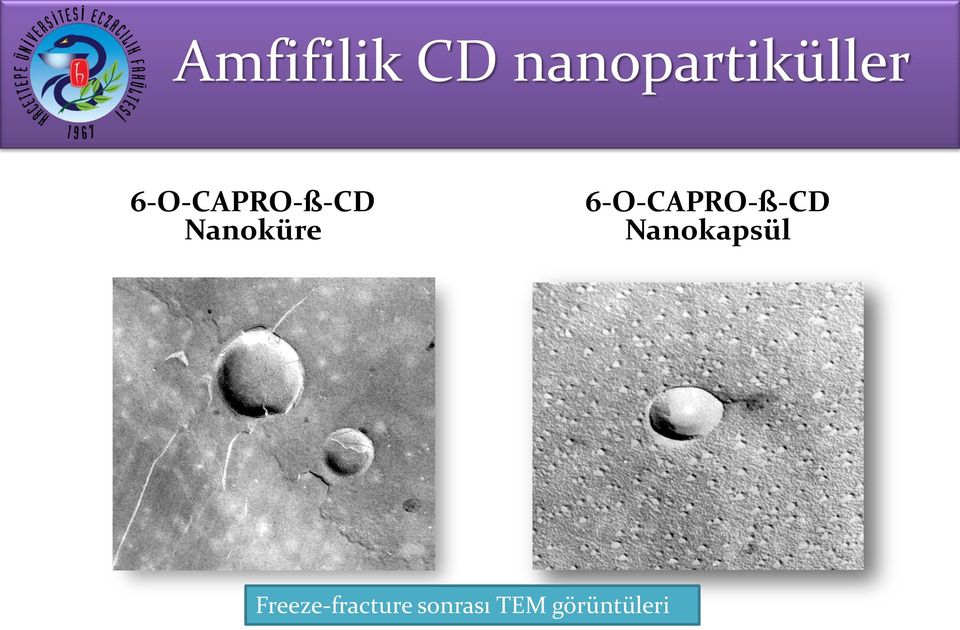 6-O-CAPRO-ß-CD Nanokapsül
