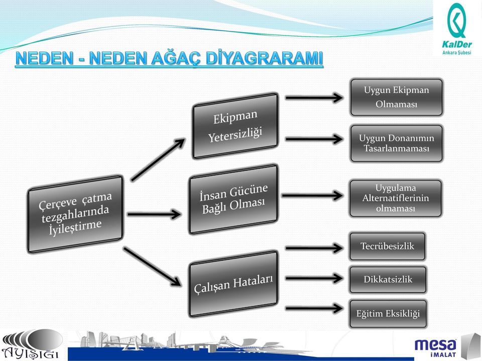 Alternatiflerinin olmaması