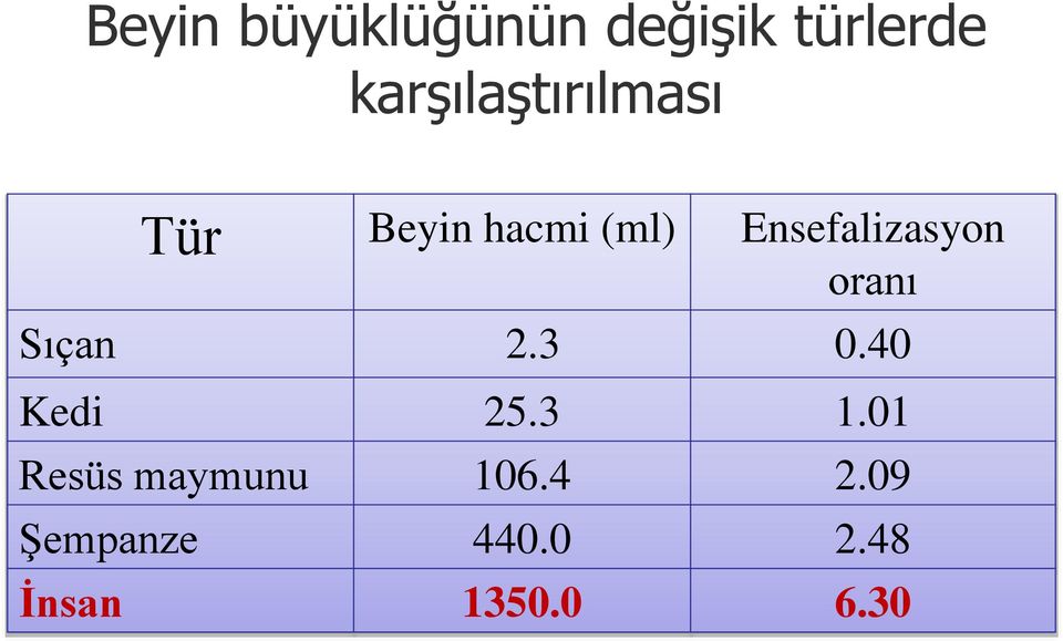 Ensefalizasyon oranı Sıçan 2.3 0.40 Kedi 25.