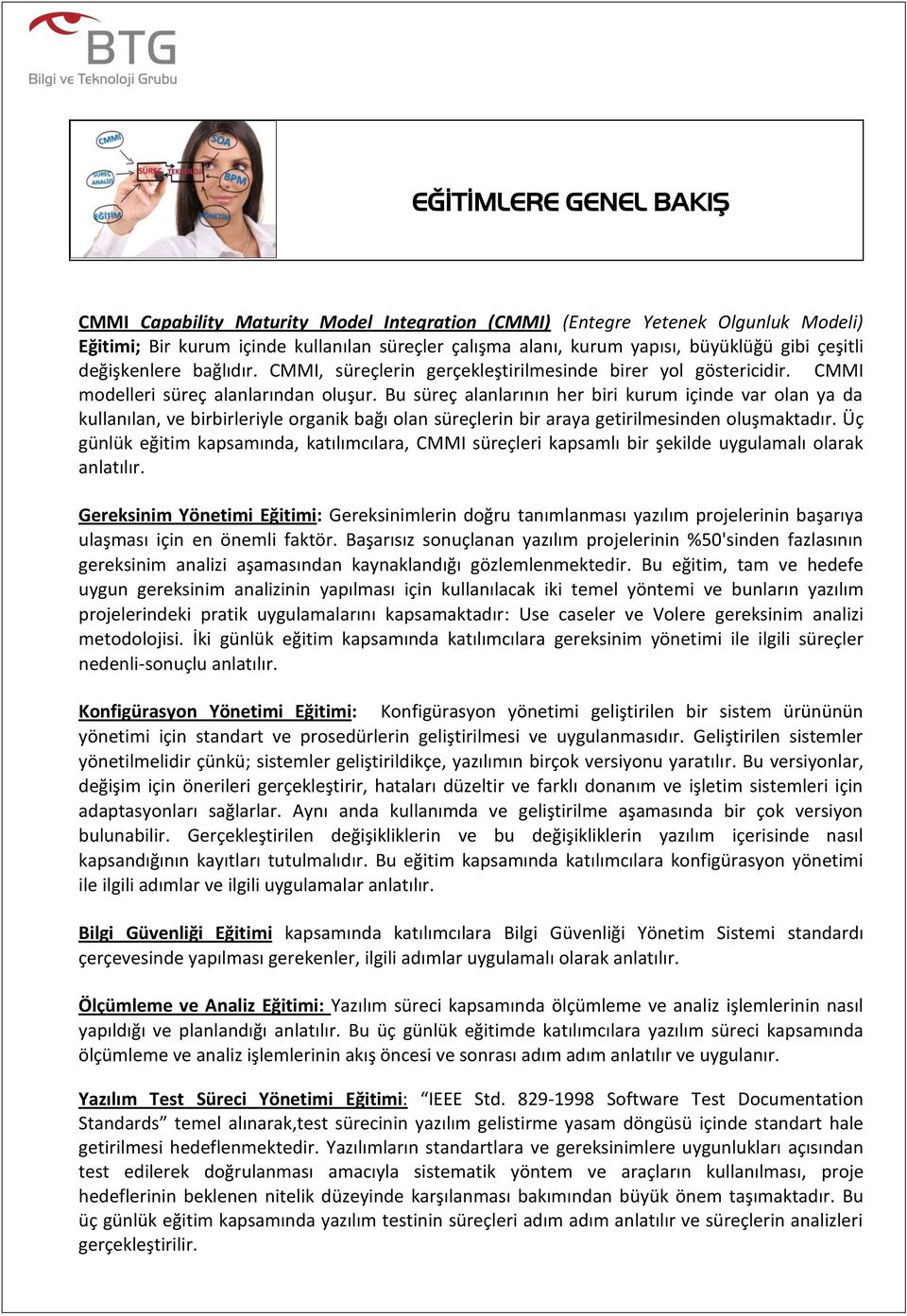 Bu süreç alanlarının her biri kurum içinde var olan ya da kullanılan, ve birbirleriyle organik bağı olan süreçlerin bir araya getirilmesinden oluşmaktadır.