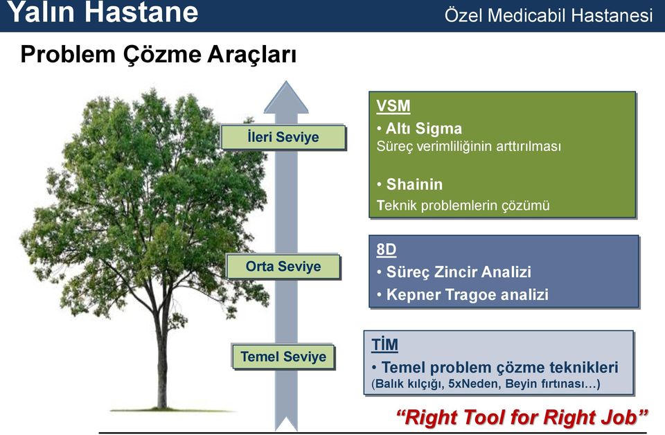 Zincir Analizi Kepner Tragoe analizi Temel Seviye TİM Temel problem çözme