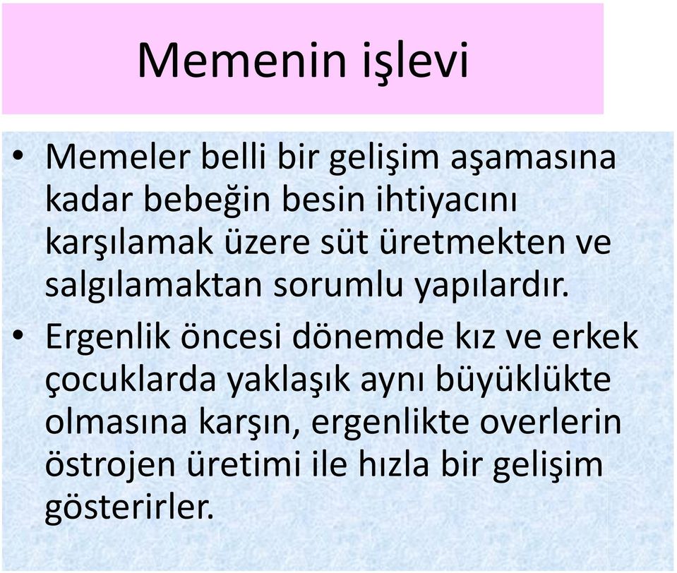 Ergenlik öncesi dönemde kız ve erkek çocuklarda yaklaşık aynı büyüklükte