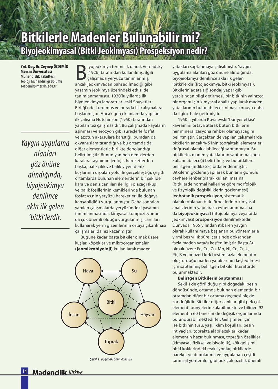tr Yaygın uygulama alanları göz önüne alındığında, biyojeokimya denilince akla ilk gelen bitki lerdir.