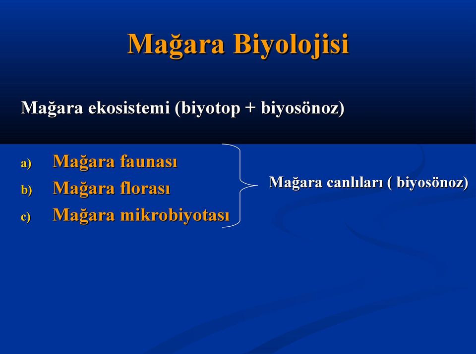 Mağara faunası Mağara florası Mağara