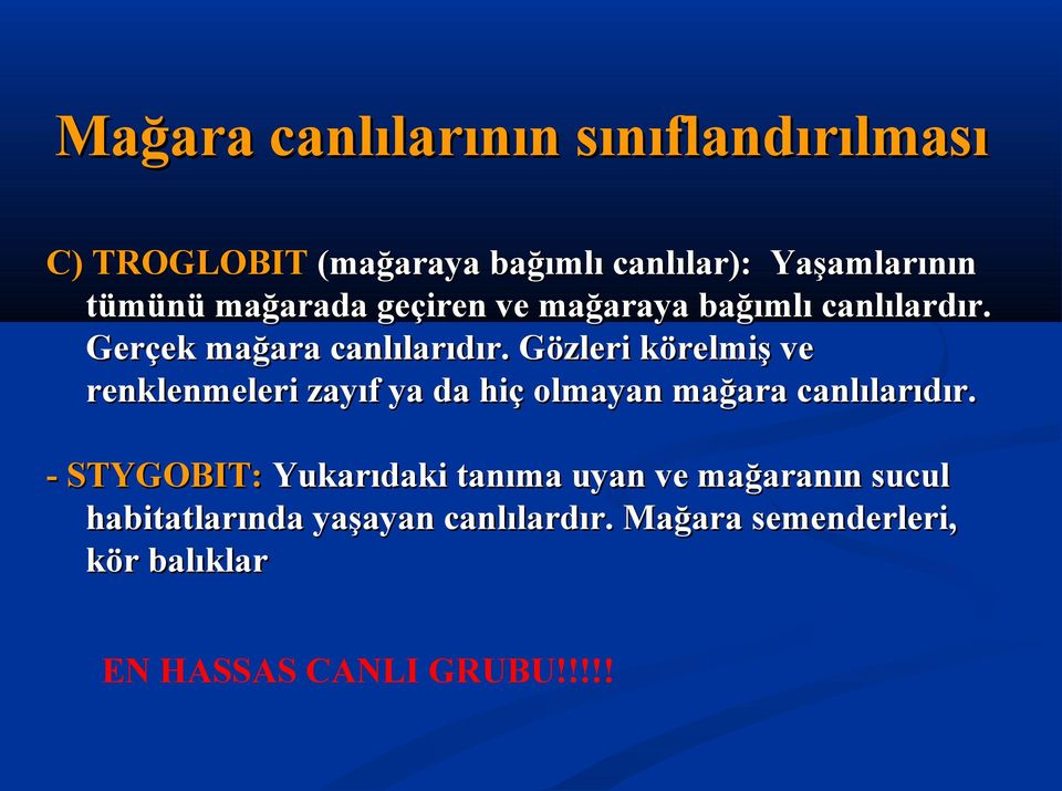 Gözleri körelmiş ve renklenmeleri zayıf ya da hiç olmayan mağara canlılarıdır.