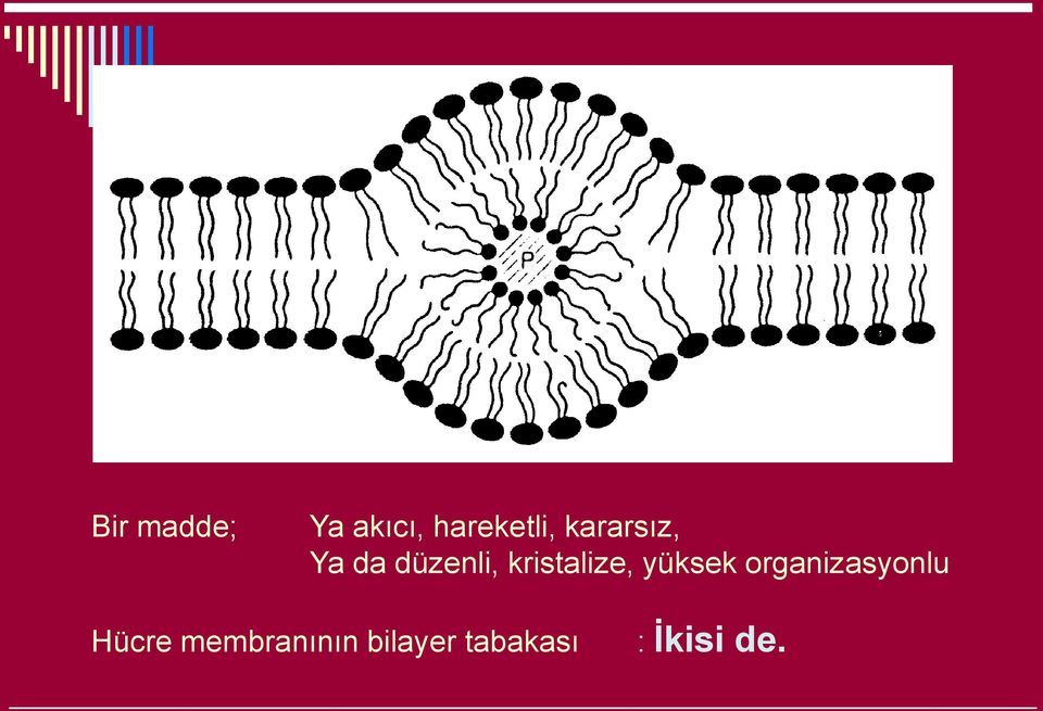 kristalize, yüksek organizasyonlu