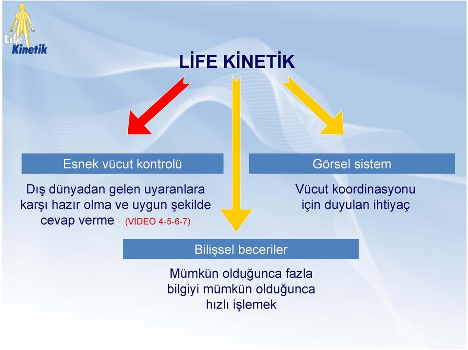 Görsel sistem Vücut koordinasyonu için duyulan ihtiyaç Bilişsel